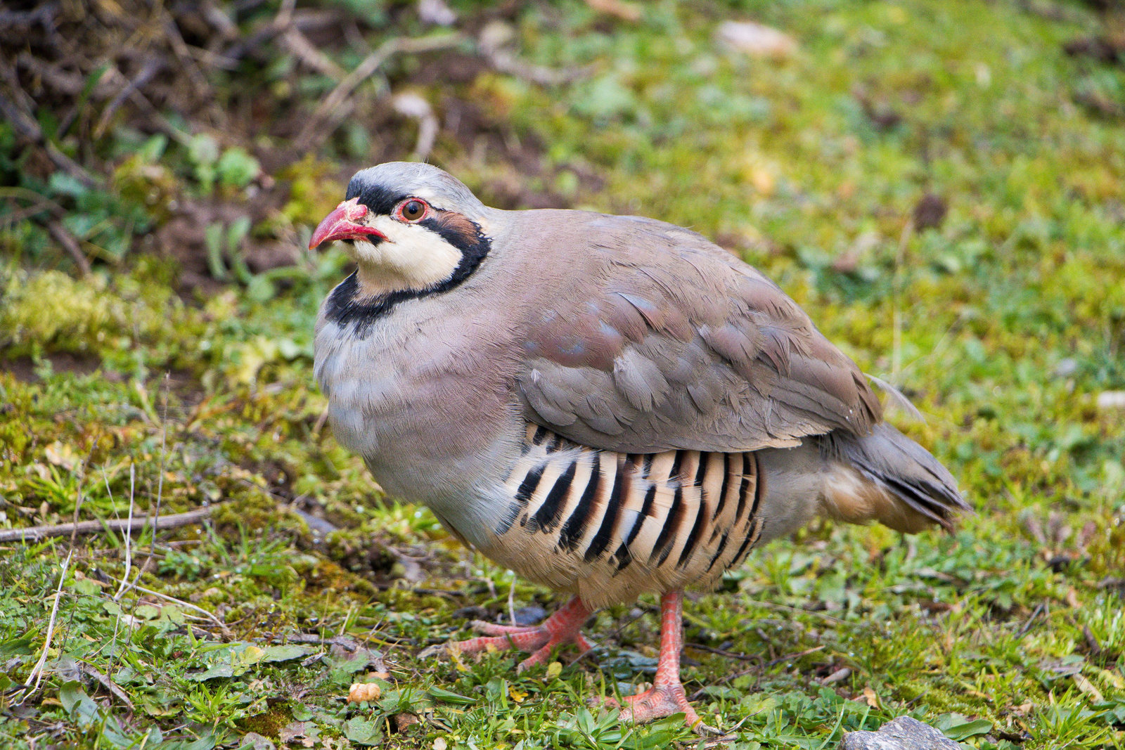 Bursa-Abdussamed KURT (6)_result.jpg