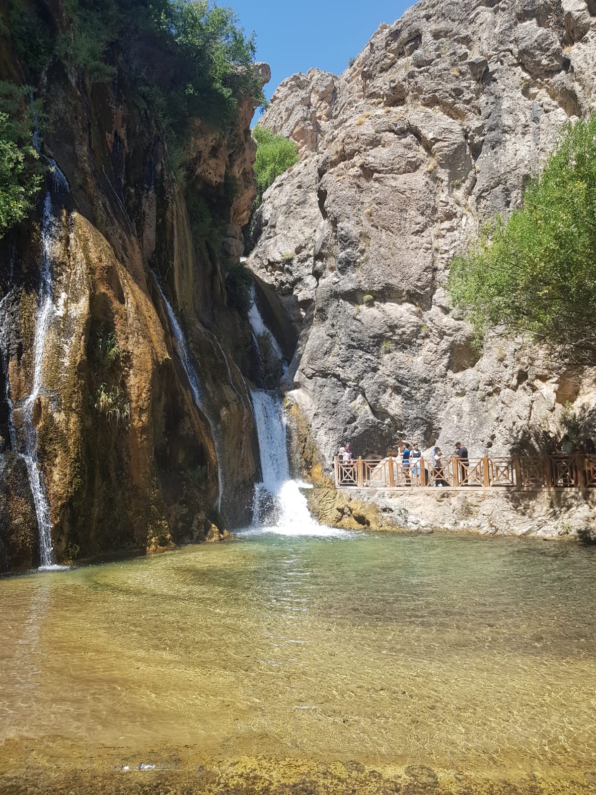 WhatsApp Image 2024-08-18 at 18.31.04 (1).jpeg