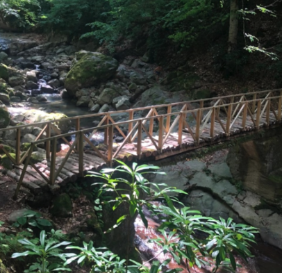 Ekran Resmi 2026-04-21 15.35.54.png